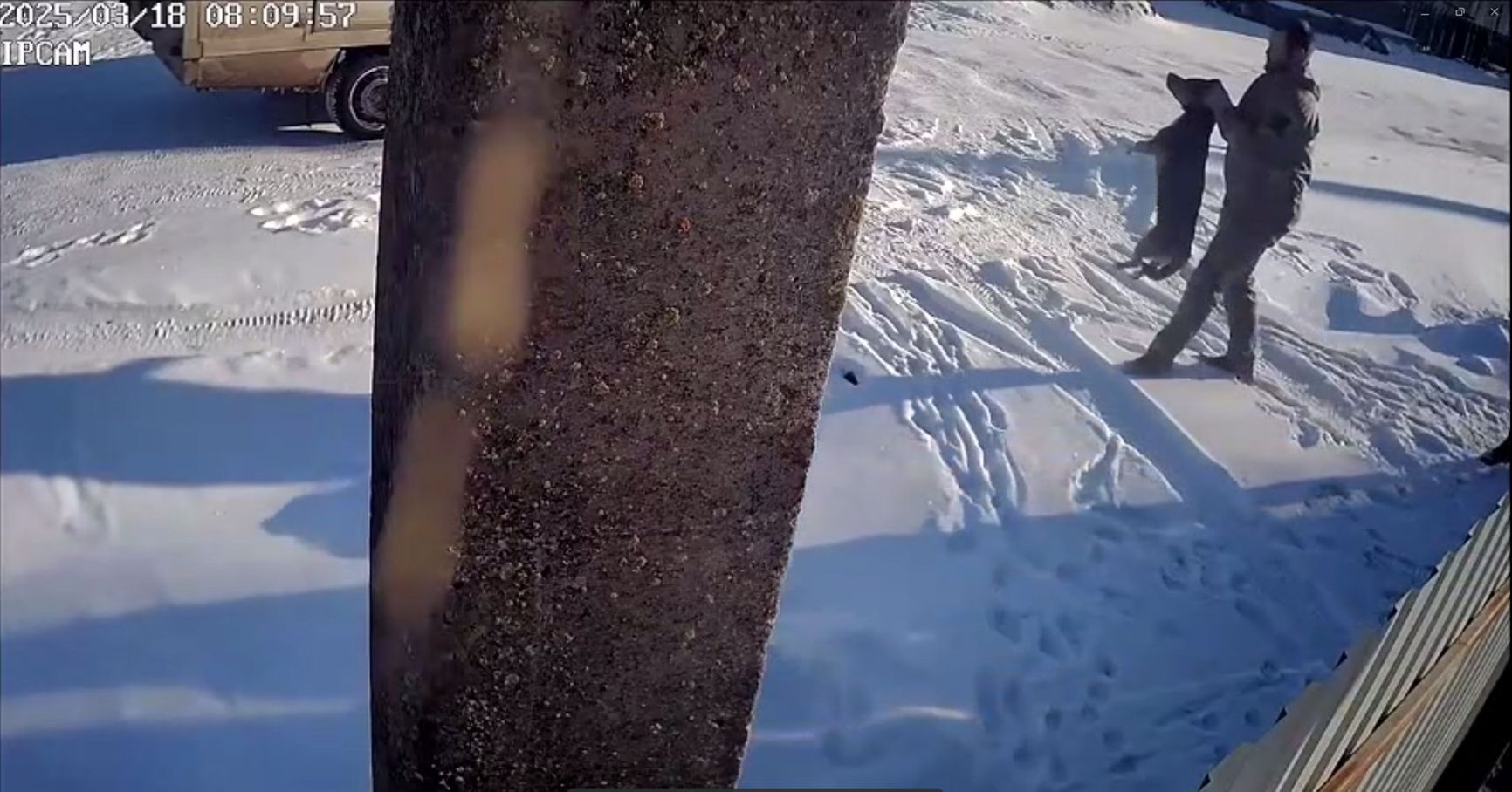 The abduction of Druzhok. A still from the video